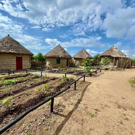 Maasai Eco Boma & Lodge - Experience Maasai Culture Makuyuni Bagian luar foto