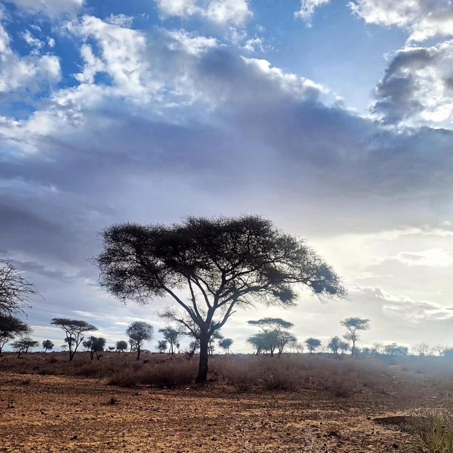 Maasai Eco Boma & Lodge - Experience Maasai Culture Makuyuni Bagian luar foto